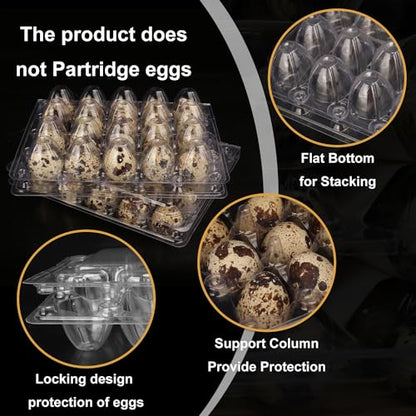 150 Pack Quail Egg Cartons, Clear Plastic Quail Egg Trays, Holds up to 20 Quail Eggs Securely - Your Ultimate Small Eggs Carton Holders for Bulk Storage and Display - size: 150 Pack Quail Egg Cartons 20 Grids