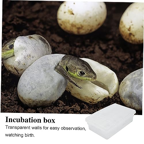 Plastic Reptile Hatching Box Easy Clean Incubator for Snakes Lizards Reptiles Visible Design Lightweight for Convenient Storage Hatchery Container