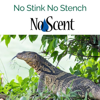 No Scent Reptile Tank Cleaner Spray & Pet Odor Management for Bearded Dragon, Turtle, Lizard Terrarium Freshener (32 Fl Oz / 946 mL) - size: 32 Fl Oz (Pack of 1)