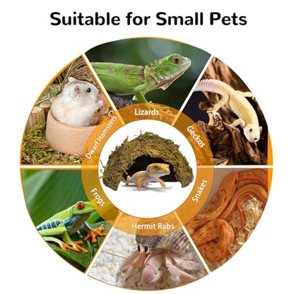 Tfwadmx 1PCS Leopard Gecko Hide, Coconut Reptile Hides Cave, Snake Hideout Mossy Caves Climbing Hide Reptile Tank Decor for Lizard Gecko Hermit Crab