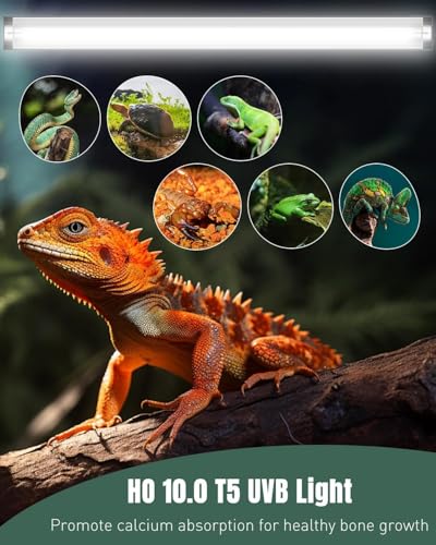 Pawfly T5 Reptile Light Combo Kit with 2 UVB Tubes, 10.0 UVB Light Fixture with Terrarium Hood and 24W Light Tubes for Bearded Dragon, Desert & Tropical Terrariums