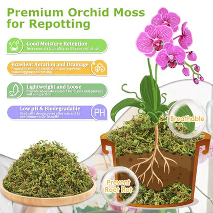 1.3LB Sphagnum Moss for Plants, 25QT Natural Long Fiber Orchid Moss | Drainage & Moisture Retention, Green Plant Moss for Orchid Repotting, Carnivorous, Succulents, Reptile Bedding & Terrariums - size: 1.3LB