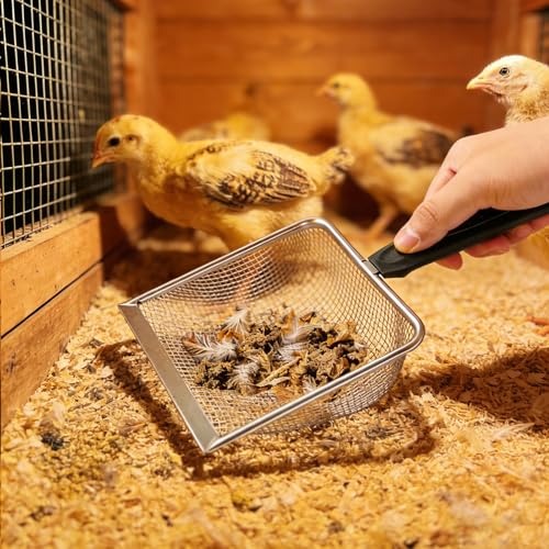 2 Pack Chicken Poop Scooper for Coop, Mesh Sifting Shovel 3.8mm 5mm Holes | 5.5" Metal Chicken Coop Rake and Scoop Cleaning Tool, Scooper Shovel for Sifting Sand, Litter, Chicken Supplies - size: 5.5" 2 Set
