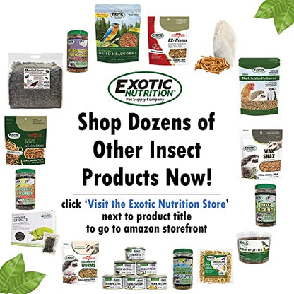 1/2 Pound Dried Crickets - High Protein Insect Treat - Chickens, Wild Birds, Hedgehogs, Bluebirds, Reptiles, Sugar Gliders, Opossums, Skunks, Lizards, Bearded Dragons, Fish, Turtles 8 oz. (1 Pack)