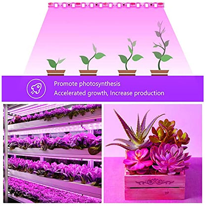 LED Grow Light Strips for Indoor Plants, Waterproof Full Spectrum Plant Grow Light, USB 3.28ft 60LEDs, Flexible Growing Lamp for Indoor Plants Succulents Hydroponics Greenhouse Gardening - size: 1M