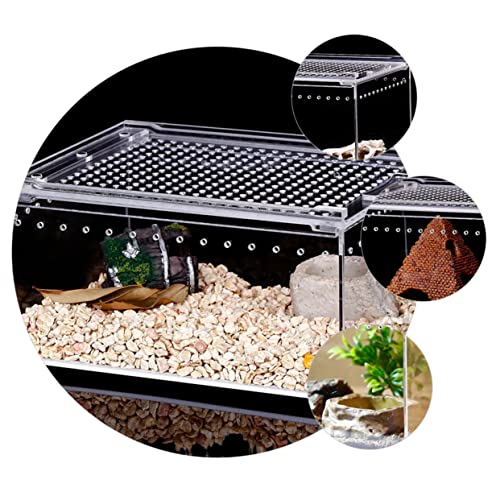 Climbing Pet Feeding Box Transparent Leak Reptile Breeding Container for Spiders Geckos Frogs Snakes for Safe Transport Habitat Observation