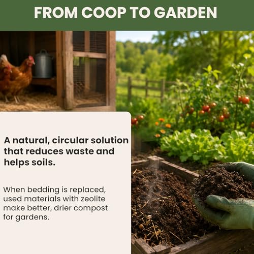 Chicken Coop Refresher - 20 Pounds: All-Natural Odor Eliminator, Moisture Absorber, and Ammonia Neutralizer - Deodorizer,Chicken Coop Accessories for Chickens Run- Remove Smell of Chicken Coops | Ammonia Neutralizer Zeolite Deodorizer Chicken Coop Accesso