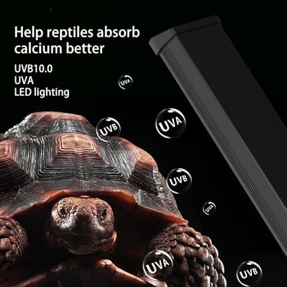 UVB & UVA Light for Reptiles, Dimmable LED Full Spectrum Sunlight Lamp with 3 Lighting Modes, 4/8/12H Timer for Tortoise, Gecko, Bearded Dragon, 4W Reptile Lamp, 5IN - size: 5IN