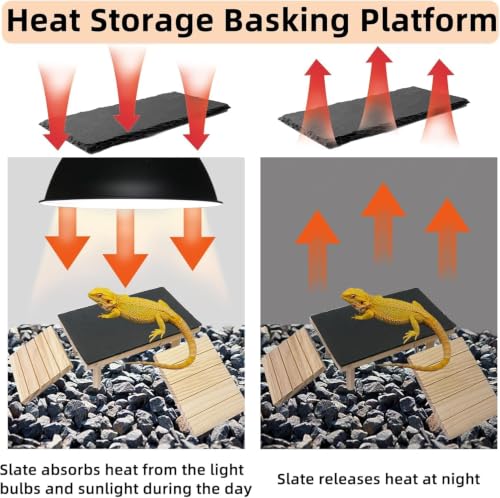 Bearded Dragon Basking Platform with Climbing Ramp,Reptile Basking Rock Slate,Wooden Platform Hide Cave Tank Accessories for Lizard Tortoise Leopard Gecko Snake (XL) - size: XL - 13.8"D x 7.9"W x 4.7"H