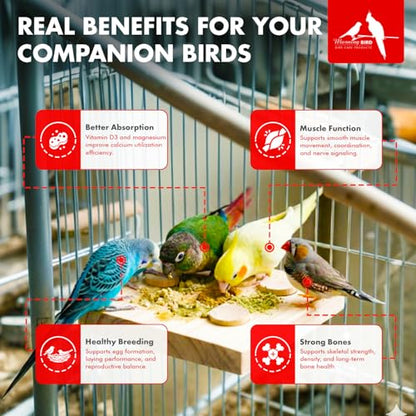 Calcium Plus Powder for Birds 2 oz – Calcium Supplement with Essential Vitamins & Minerals – Supports Bone Health, Muscle Function & Digestive Balance – Easy-to-Mix Calcium Formula | Calcium Supplement - Supports Healthy Growth, Bone Strength, Breeding, B