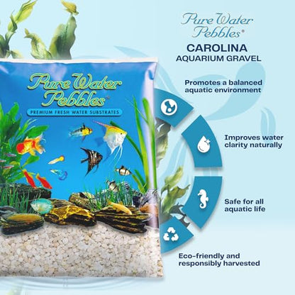 Pure Water Pebbles Carolina Aquarium Gravel - 2 lbs - Non-Toxic, Colorfast, Vibrant Substrate for Aquariums, Terrariums, Ponds & Crafts