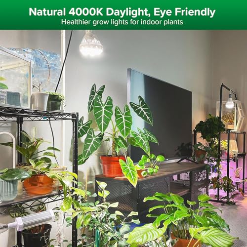 SANSI Grow Lights for Indoor Plants, 36W Plant Lights for Indoor Growing | 400 Watt Equivalent BR30 Grow Light Bulb, PPF 65.6 umol/s, 4000K Full Spectrum, Optical Lens for High PPFD, ETL Listed