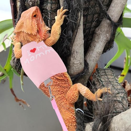 Small Animal Travel Backpack Carrier,Portable Bearded Dragon Bag for Sugar Glider,Hedgehog,Rat,Bunny,Rat,Outdoor Used (Pink, Carrier L+ I Leash) - color: Pink