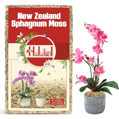 Halatool Premium New Zealand Sphagnum Moss, 200g (16L When Hydrated) | Long Fiber, Retain Moisture, Moss for Orchid Repotting, Succulents, Sarracenia, Potted Plants, Gardening & Reptiles - size: 16L