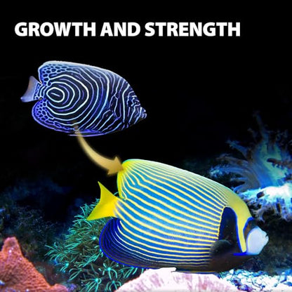 Purify Series for Marine Fish Food | Saltwater Fish Sinking Pellets, Suitable for Clown Fish, All Natural Ingredients, 2.65 oz - style: Marine Fish