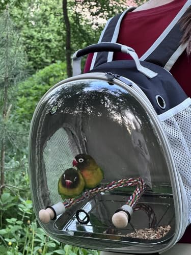 Small Bird Travel Backpack Carrier Cage, Backpack to Transport Backpack Carrier with Metal Tray Stand Perch for Parakeet Cockatiel Budgies Vet Carry Book Bag Black - color: Black