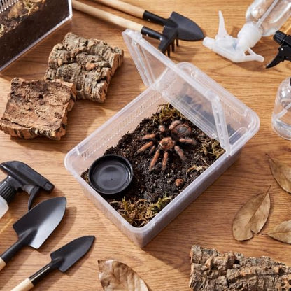 Irenare 20 Pcs Reptile Breeding Box Plastic Spider Enclosure Tarantula Feeding Box for Small Reptile Acrylic Carrier for Mantises, Hermit Crabs, Snails and Small Pet(7.48 x 4.92 x 2.95 Inch, Standard) - size: 7.48 x 4.92 x 2.95 Inch, style: Standard