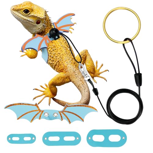 Lizard Harness and Leash-3 Size Pack Bearded Dragon Leather Dinosaur Wing Harness Reptile Leash Set for Safety Walking Costume Indoor Outdoor - color: Blue