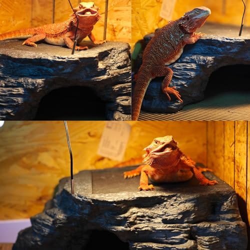 X-Large Bearded Dragon Basking Platform, Lizard, Snake or Reptile Hide with Heat Storage Slate Stone, 13x12x5 Inch Oversized Gecko Hide Cave - size: XL / 13x12x5 Inch
