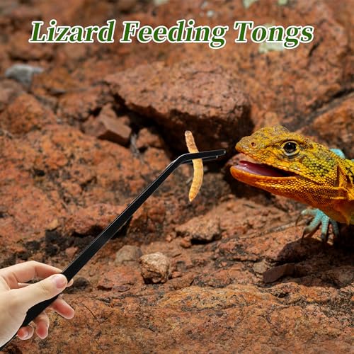 Reptile Feeding Tongs, Stainless Steel Lizard Feeding Tongs, Aquarium Curved Feeding Tweezers for Reptiles with Rubber Tip, Terrarium Feeding Tongs for Gecko, 14.96" Length, Black - size: 14.96"