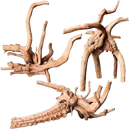majoywoo Natural Driftwood for Aquarium Decor Fish Tank Decor Reptile Decor | Assorted Spiderwood Branch 7-11" 3 Pcs, Natural Spiderwood for Aquascaping and Reptile Decor - size: Spiderwood 7 to 11 Inch(Pack of 3)
