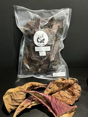 Tropical Almond Leaf Litter (1 oz)