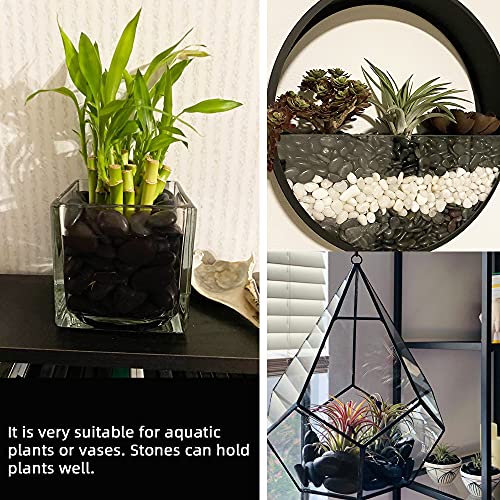 45lb Black Pebbles for Plants,Potting,Succulents Aquarium Fish Tank Vases Decorative Garden Polished Gravel Rocks Stones - size: 45LB, style: Black