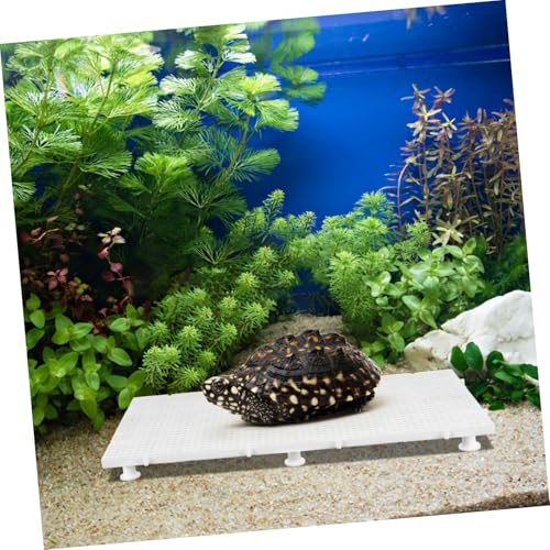 TOYANDONA 1set Aquarium Divider Boards Fish Tank Isolation Panels Support Easy Installation Fish Separation Prevents Debris Filtration System for Tortoise and Reptile Basking