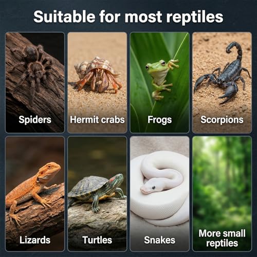6 Pcs Spider Micro Water Bowl, Mini Resin Dish Tiny Bowl Enclosure Accessories for Tarantula, Spider, Hermit Crab, Millipede, Tiny Reptile (1.65" D, 0.59" H)