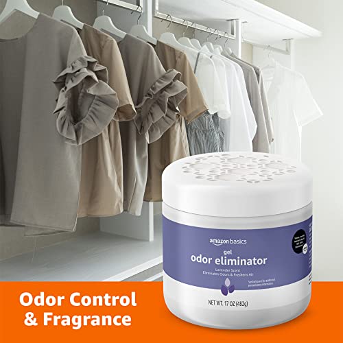 Amazon Basics Gel Odor Eliminator, Activated Charcoal, Lavender Scent, 17 Oz, 1-Pack - size: 17 Ounce (Pack of 1)