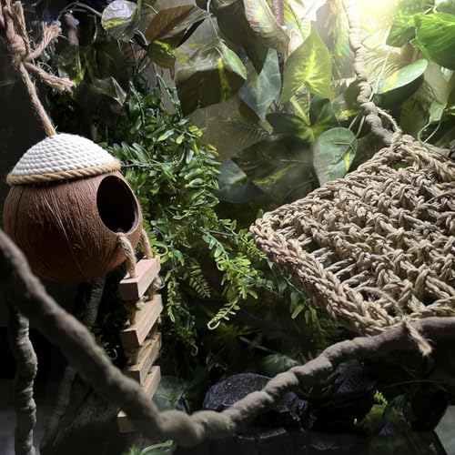 Leopard Gecko Coconut Hut with Ladder,Grested Gecko Coco Den Lizards Hanging Coconut Shell Hideout Cave Reptiles Tank Accessories Climbing Hanging Plants Jungle Vine Flexible Leaves Decor - style: 【Style D】