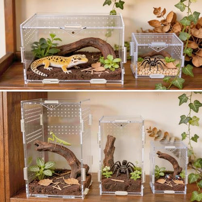 Portable Acrylic Jumping Spider Terrarium with Magnetic Lock 5.9x5.9x9.8 | Ventilated design; secure magnetic lock closure. Designed for small reptiles & insects. Lightweight for travel and display - size: 5.9×5.9×9.8 Inch