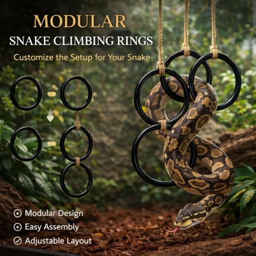 3PCS Snake Climbing Rings for Ball Python - Enrichment Toys for Corn Snake | Reptiletank Cage Decor Habitat Accessories: Terrarium, Bearded Dragon, Chameleon, Iguana, Gecko, Lizard, Parrot - color: 3PCS - BLACK