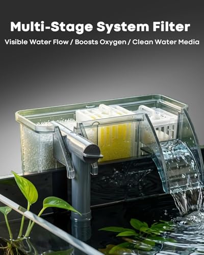 10 Gallon Aquarium Set Glass Fish Tank, Heater Self Cleaning System Filter with Media Bright Light Cleaning Tool, Leak-Proof Clear Rimless Betta Tropical Freshwater Fish - size: 10 Gallon