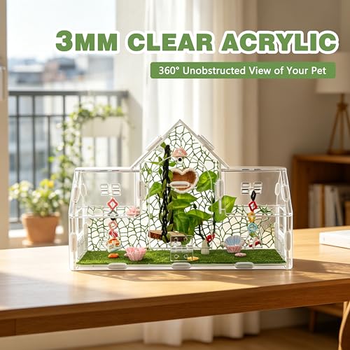 20-Piece Jumping Spider Enclosure Kit, Acrylic Terrarium with 360° View & Magnetic Doors, Complete Accessories Set for Tarantula, Mantis, Small Reptiles, 11.8" L x 4.5" W x 8" H - color: Green