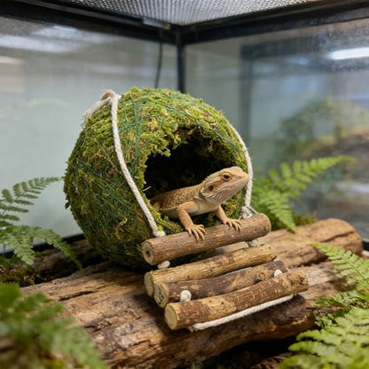 Handmade Moss Reptile Hanging Nest 4 Pcs Set, Large 6″ x 6″ | Gecko Hideout with Ladder, Terrarium Decor for Crested Gecko, Leopard Gecko, Lizard, Small Reptiles & Amphibians - size: Large 6″ x 6″