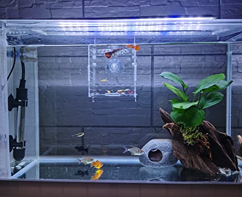 AWXZOM Acrylic Fish breeding Box, Acrylic Fish Isolation Box, Fish Separator for Aquarium, Hatchery Incubator with Suction Cups for Small Baby Fishes Shrimp Clownfish Guppy (3.9 * 3.9 * 3.9inch) - size: 3.9 * 3.9 * 3.9inch