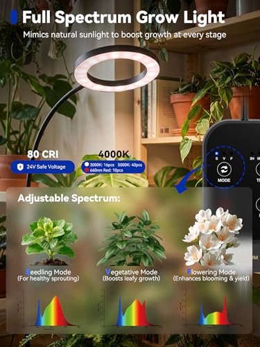 Grow Lights for Indoor Plants,Full Spectrum Plant Light with Stand | 20W Floor Grow Light with Adjustable Height, 3/9/12 Timer, Dimming & 3 Growth Modes for Houseplants, Herbs and Indoor Gardens - color: Black-Single Head