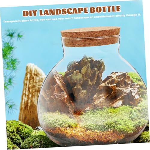 KALLORY Glass Ecological Bottle Terrarium with Cork Stopper, 10X11Cm Micro Landscape Moss Plant Container for Indoor Gardening and Decorative Ecosystem