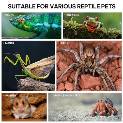 Jumping Spider Enclosure, Insect Terrarium, Bug Cage, Acrylic Terrarium for Tarantula, Snail, Praying Mantis, Frog, and Small Reptiles (7.8" x 7.8" x 13.7") - size: 7.8" x 7.8" x 13.7"