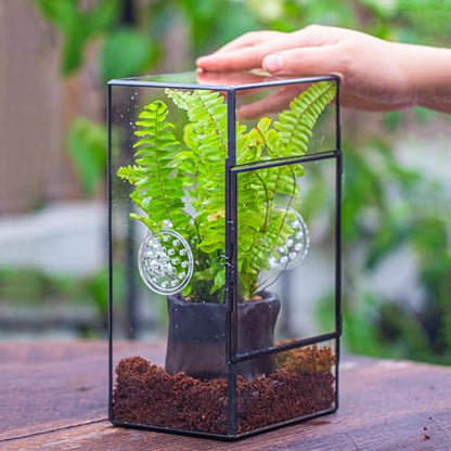 NCYP Glass Enclosure for Large Jumping Spider - 5.1" x 3.9" x 9" Front Opening Door Glass Terrarium with 3 Vent Holes, Small Snail, Insects Habitat, Black (Terrarium Only)