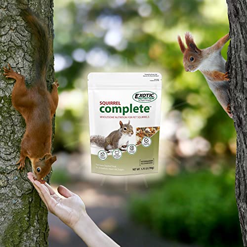 Exotic Nutrition Squirrel Complete (4 lb.) - Healthy Natural Food for Squirrels - Ground, Grey, and Flying Squirrels - size: 4 Pound (Pack of 1)