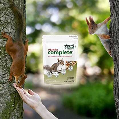 Exotic Nutrition Squirrel Complete (4 lb.) - Healthy Natural Food for Squirrels - Ground, Grey, and Flying Squirrels - size: 4 Pound (Pack of 1)