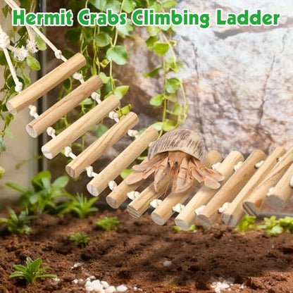 BNOSDM 2 Pcs Reptile Bridge Gecko Climbing Ladder Bearded Dragon Hammock with Suction Cup Wooden Basking Lounger Leopard Gecko Tank Accessories for Lizard, Hermit Crab, Frog, Snake - color: 2pcs-Solid wood