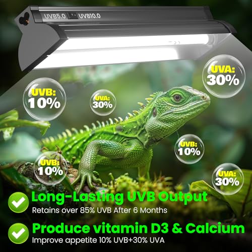 Dual-Mode 8W T5 UVB Light for Reptiles, Switchable 5.0/10.0 UVB Light for Tropical & Desert Reptiles, 12.4inTerrarium Hood Fixture for Bearded Dragon, Gecko, Tortoise, Snake