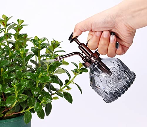 Glass Plant Mister - 6.5" Green Glass Water Spray Bottle with Gold Top Pump, Small Plant Sprayer for Indoor/Outdoor House Plants (Gray+Bronze)