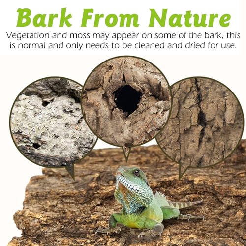 Reptile Cork Bark 1 Lb Flat Cork Wood for Terrarium Small Tree Bark Pieces 3.9-5.9in Natural Bulk Cork Bedding Tank Substrate for Bearded Dragon Snake Spiders Geckos Tortoise Hermit Crabs
