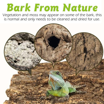 Reptile Cork Bark 1 Lb Flat Cork Wood for Terrarium Small Tree Bark Pieces 3.9-5.9in Natural Bulk Cork Bedding Tank Substrate for Bearded Dragon Snake Spiders Geckos Tortoise Hermit Crabs