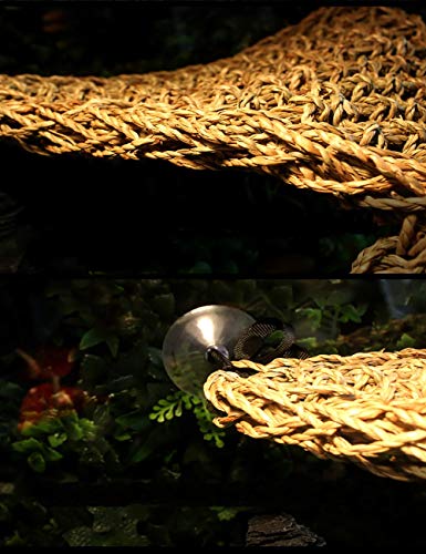 Tfwadmx 2 Pack Bearded Dragon Hammock, Reptile Climbing Decor, Lizard Lounger 100% Natural Seagrass Fabric Hammock for Reptiles, Geckos, Anoles, Iguanas, Hermit Crabs, Triangular - size: 12x8In