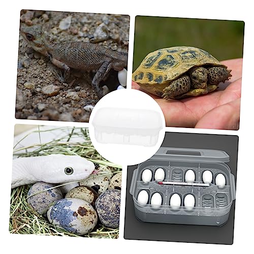 VANZACK Reptile Incubation Box with Design Lightweight Hatching Container for Snakes and Lizards Efficient Capacity Reptile Breeding Hatchery